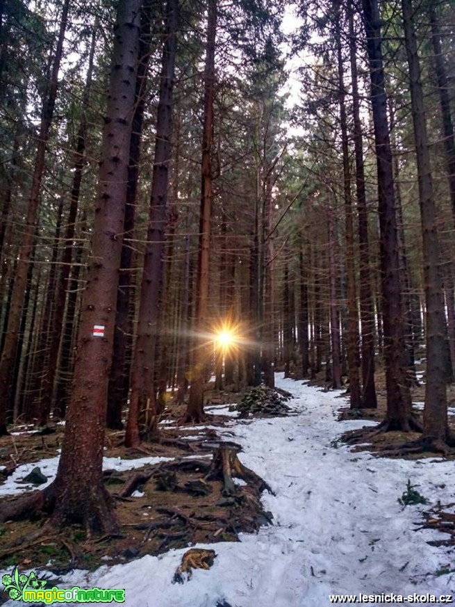 Po červené na Kněhyň 6. 1. 2018 - Foto Jan Valach