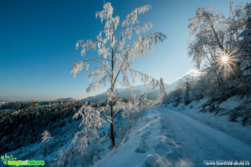 Scenerie slovenských hor - Foto Jozef Pitoňák 0118 (5)