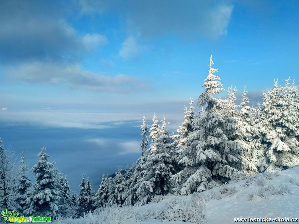 Nízká oblačnost z Malého Smrku - Foto Jan Valach 0118