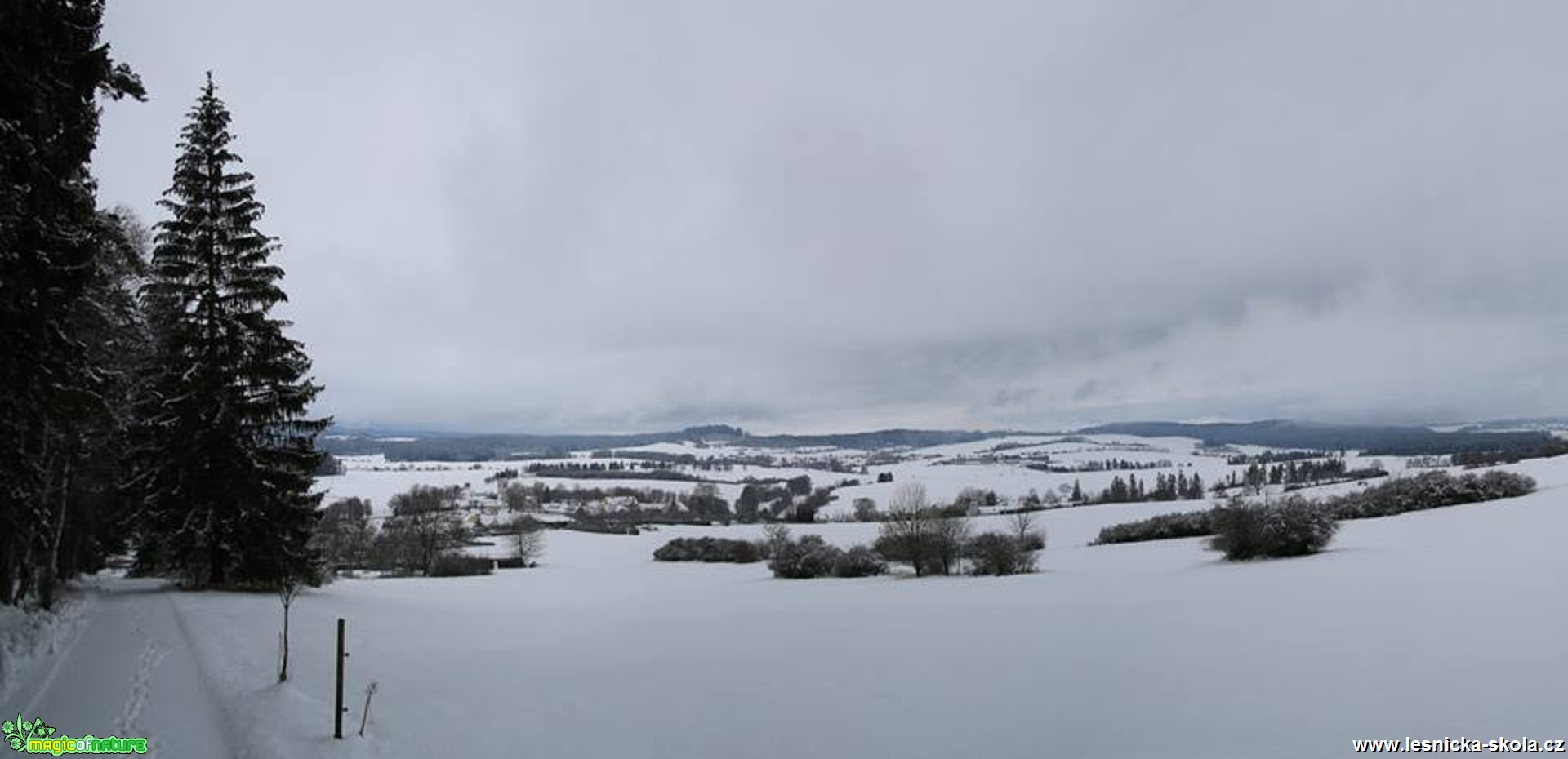 Zasněžená Vysočina - Foto Ladislav Jonák 0118 (1)