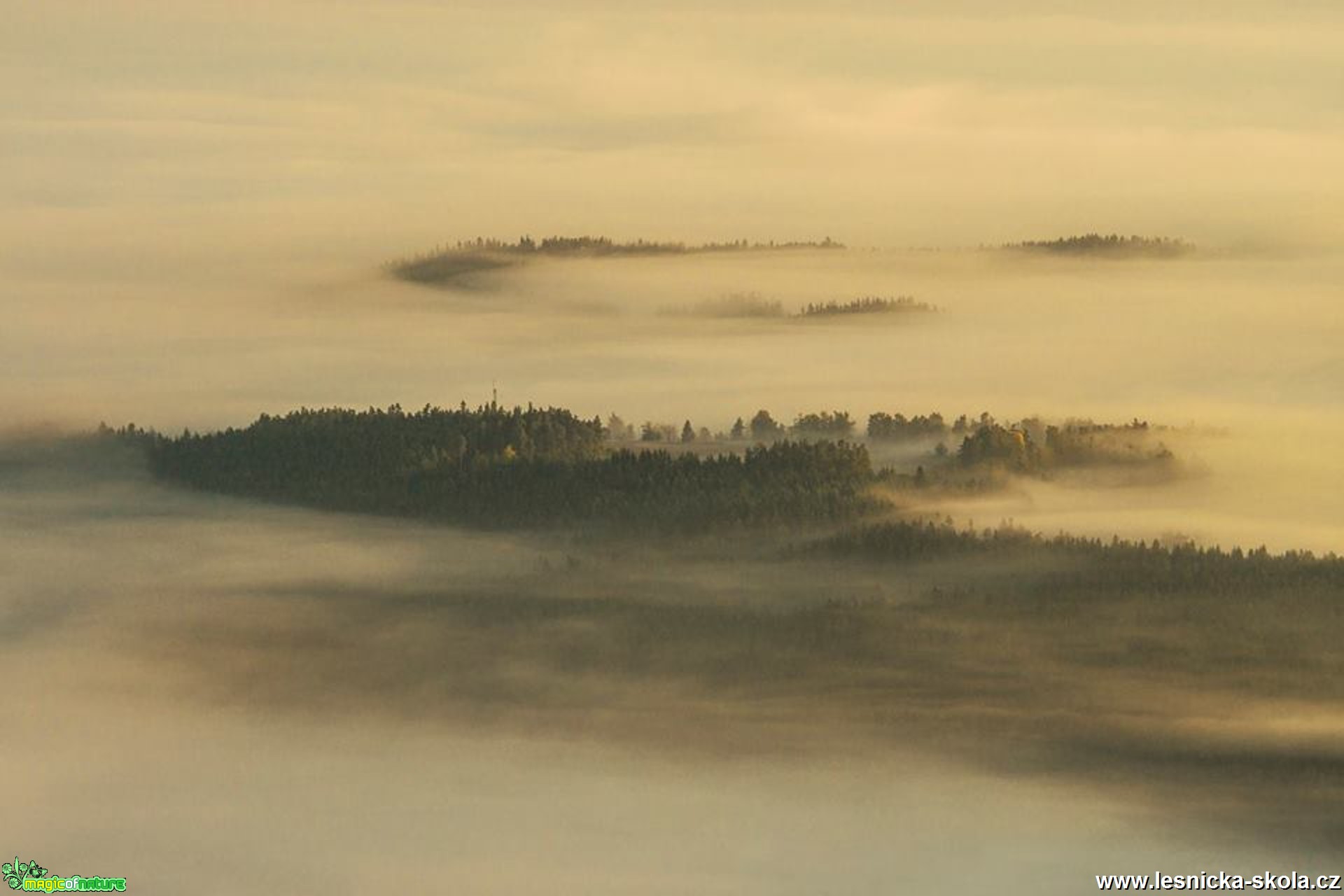 Šumavská ranní mlžení - Foto Petr Germanič 0218