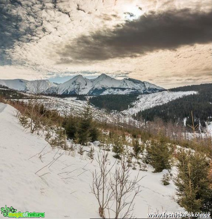 Březnové Tatry - Foto Jozef Pitoňák 0318 (1)