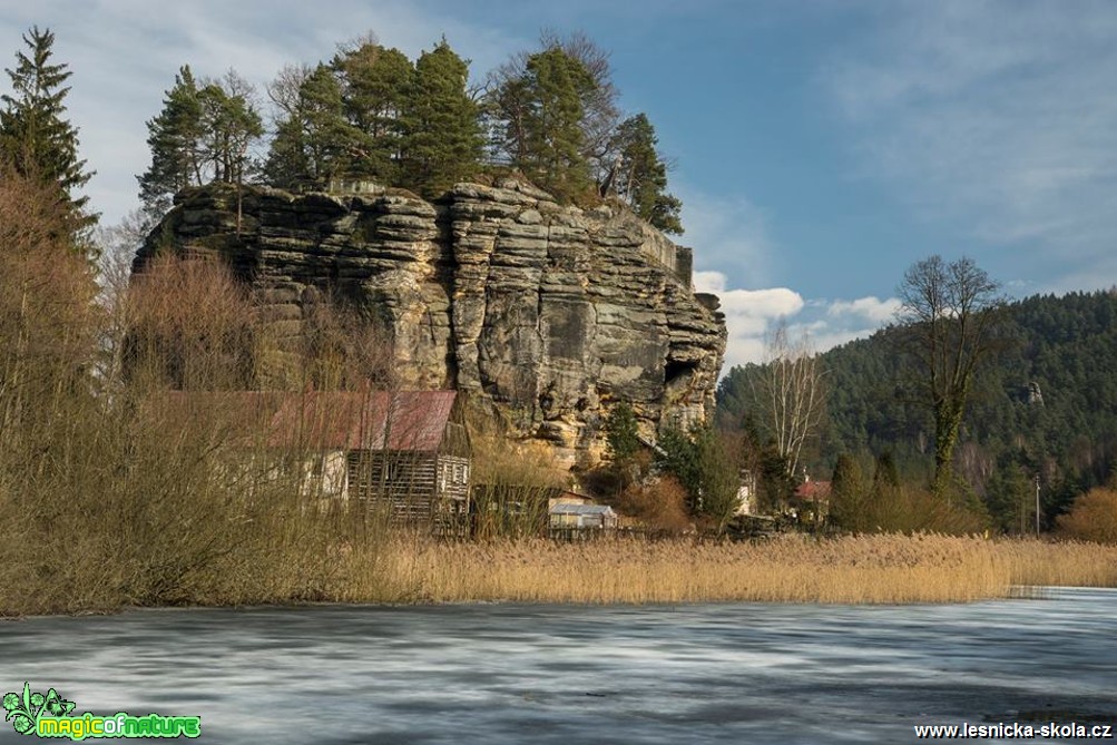 Hradní rybník - Foto Petr Germanič 0318