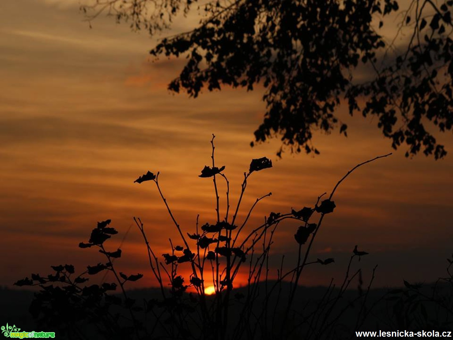 Noc na spadnutí - Foto Ladislav Jonák 0318