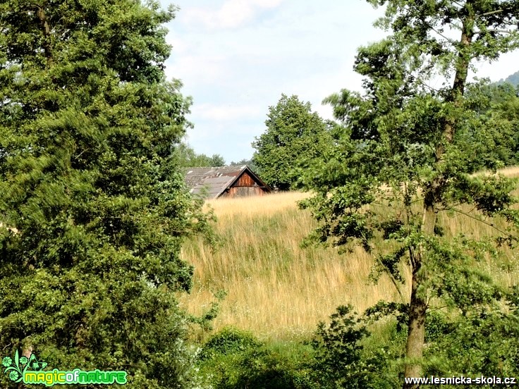 Krajina - Foto František Marcín 0318 (2)