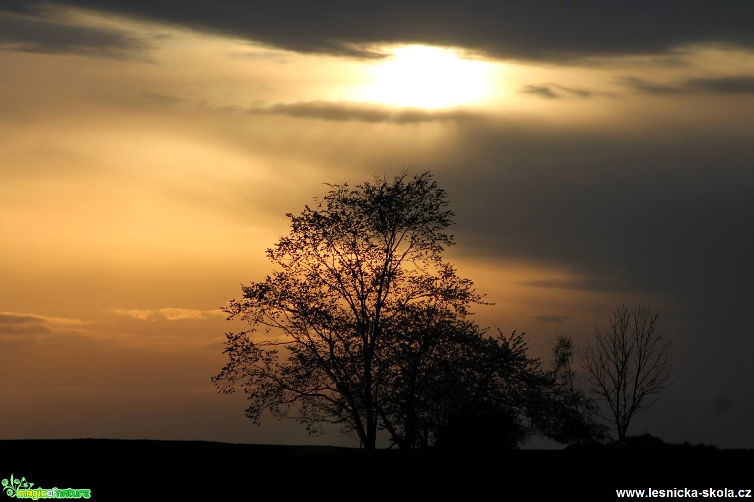 Podvečer - Foto František Novotný  0318 (1)