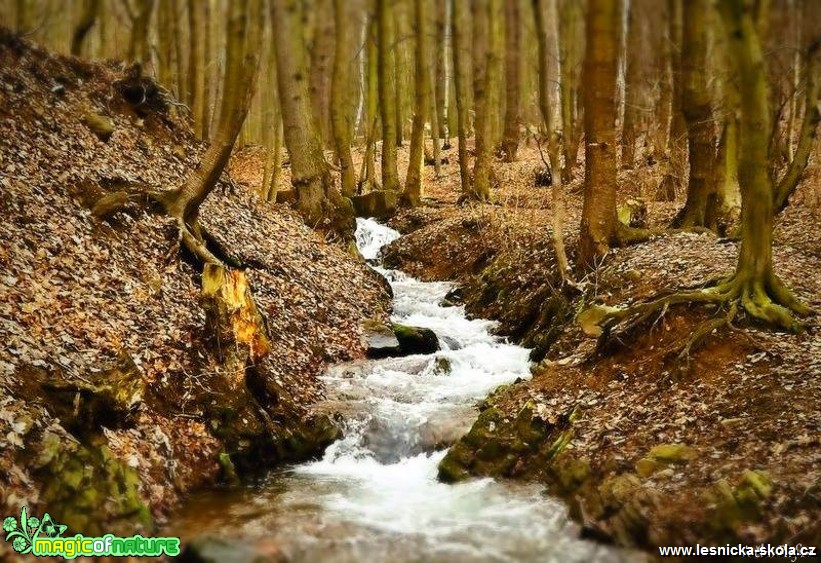 Voda se valí z kopců - Foto Jiří Havel 0318