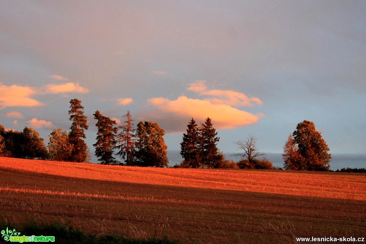 Po bouřce - Foto František Novotný 0518