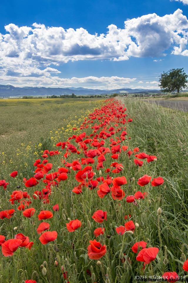 Krása slovenských hor - Foto Jozef Pitoňák 0518 (4)