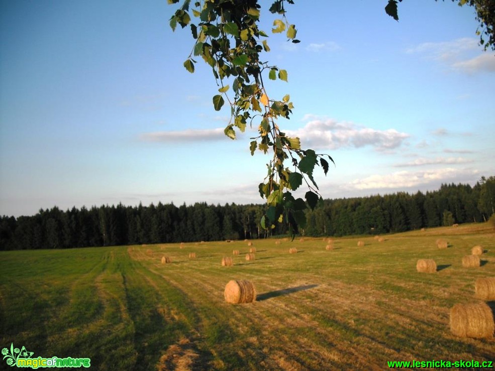 Šluknovsko - Foto Josef Vykoukal