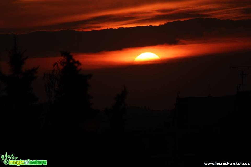 Čekání na slunce - Foto Ladislav Jonák 0518