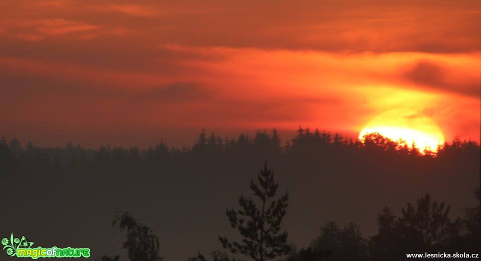 Květnové ráno - Foto Ladislav Jonák 0518