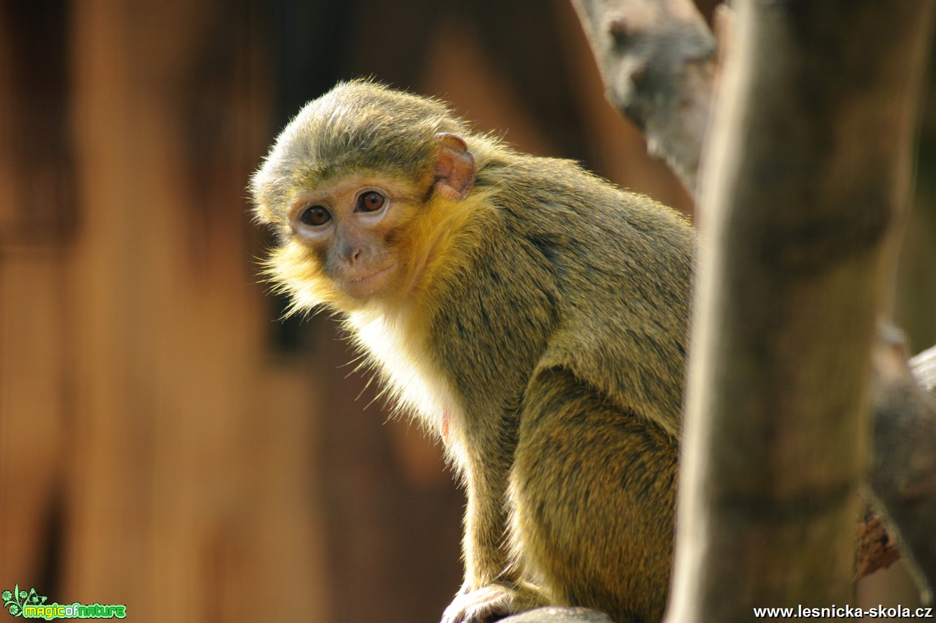 Zoopark Zájezd - Foto Tomáš Kunze 0618 (3)