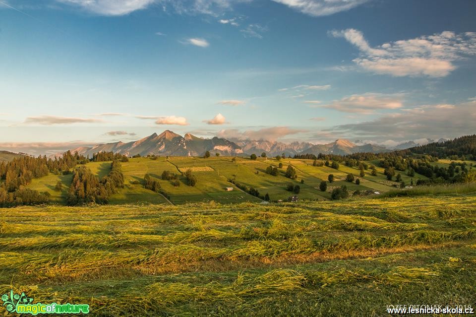 Senoseč na horách - Foto Jozef Pitoňák 0618 (2)