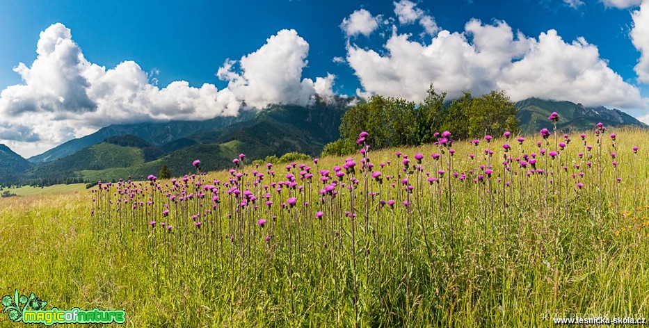 Kouzlo slovenských hor - Foto Jozef Pitoňák 0618 (2)