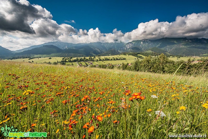 Kouzlo slovenských hor - Foto Jozef Pitoňák 0618 (4)