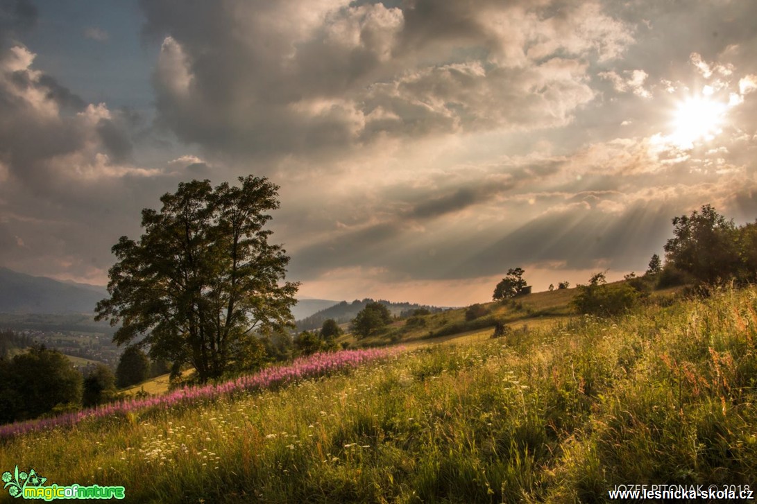 Kouzlo slovenských hor - Foto Jozef Pitoňák 0618 (5)