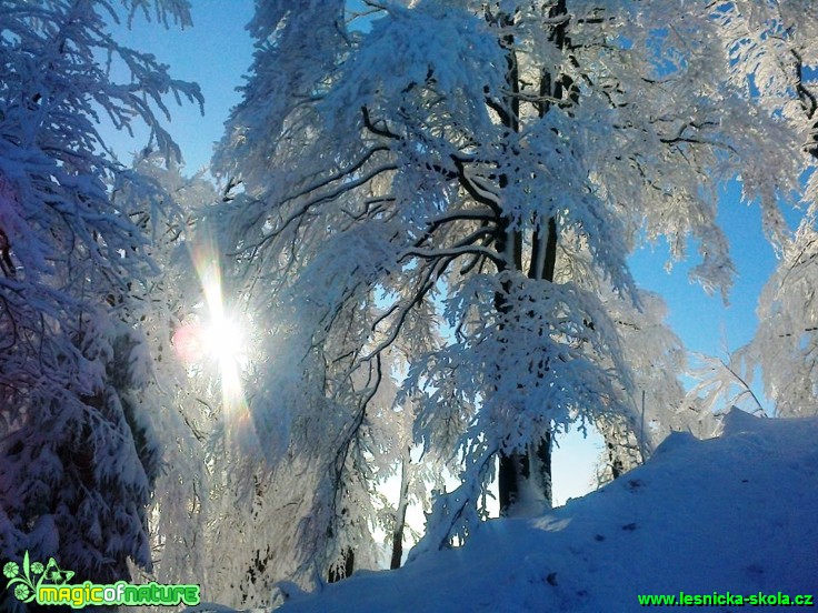 Cesta na horu Klíč - Foto Pavel Vomáčka