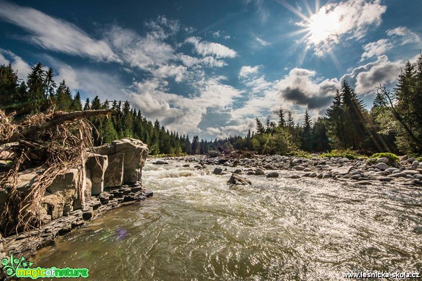 Horská voda - Foto Jozef Pitoňák 0918 (1)