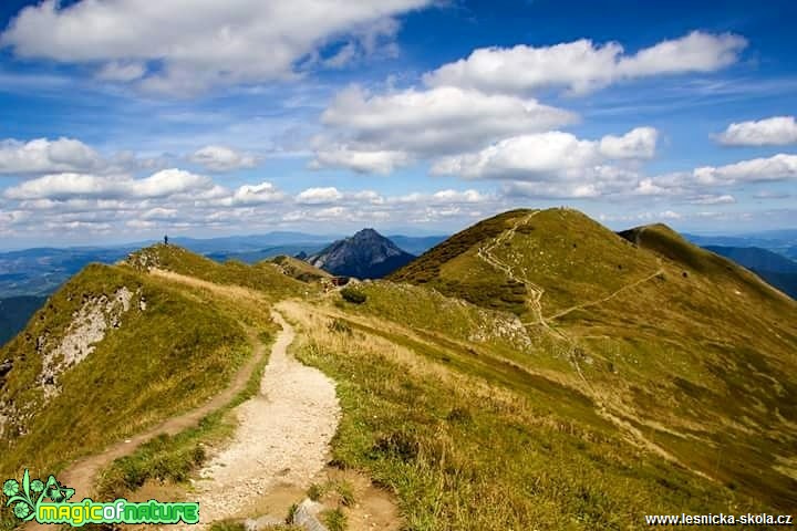 Hřebenovka Poludňový Gruň - Chleb - Foto Jan Valach 0918