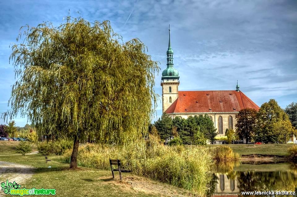 V Mostě u kostela - Foto Pavel Ulrych 1018