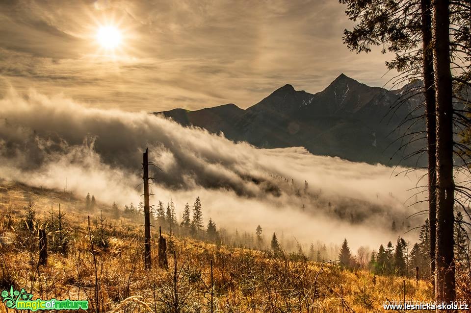 Obrázky života slovenských hor - Foto Jozef Pitoňák 1118 (6)