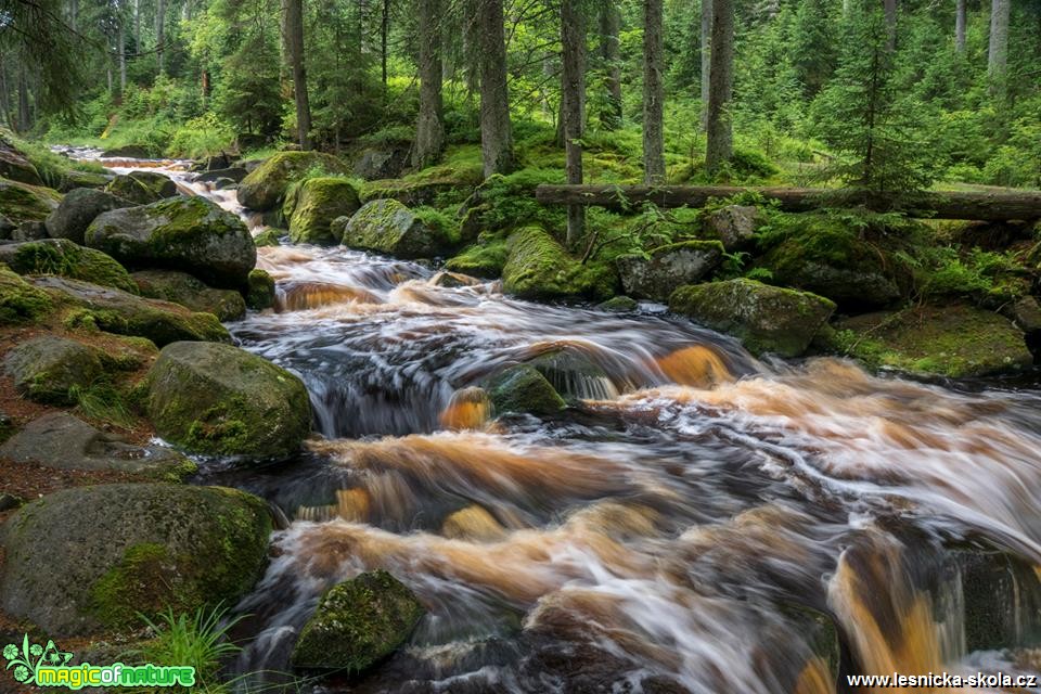 Rozbouřený Hamerský potok - Šumava - Foto Petr Germanič 1218