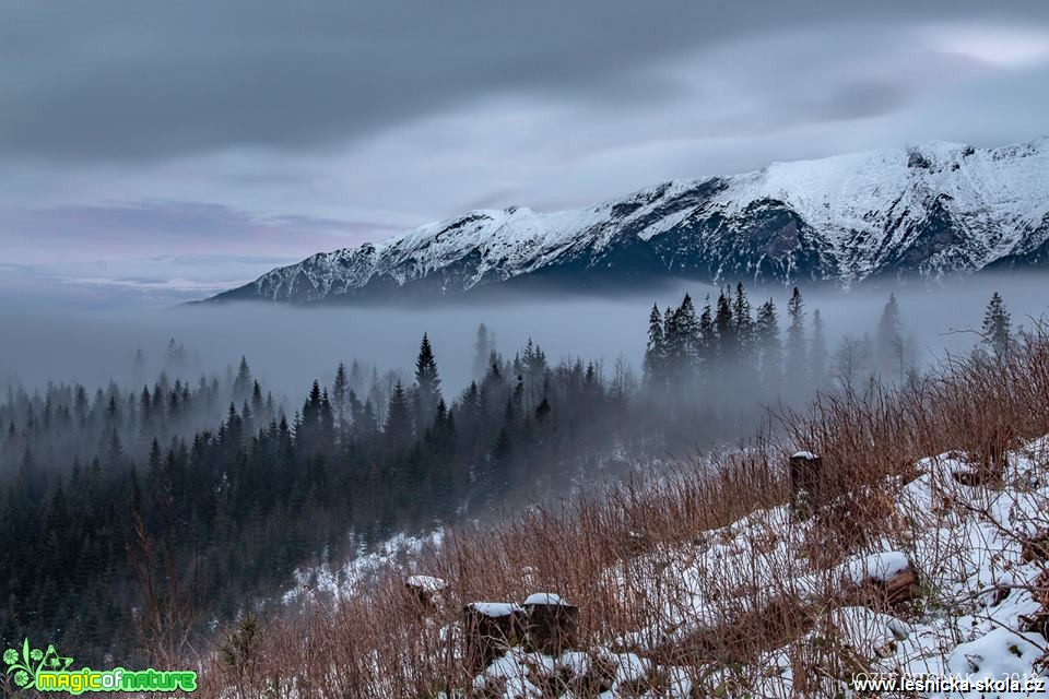 Horské mlhy - Foto Jozef Pitoňák 1218 (4)