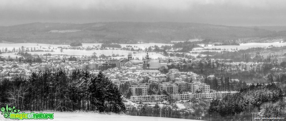 Černobílá má své kouzlo - Foto Ladislav Jonák 0119