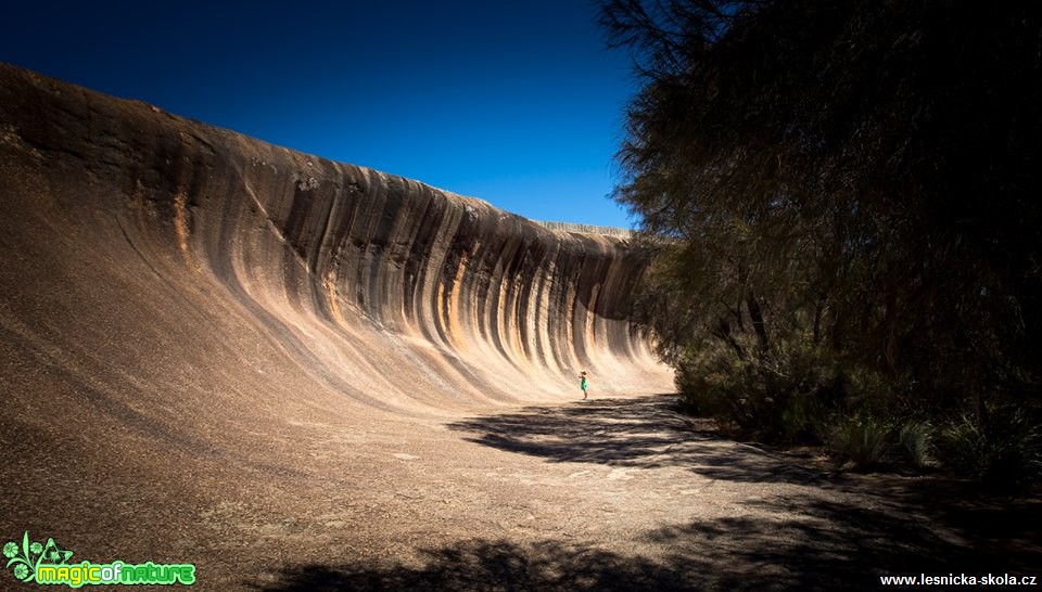 Wave Rock u města Hyden v západní Austrálii - Foto Ladislav Hanousek 0219