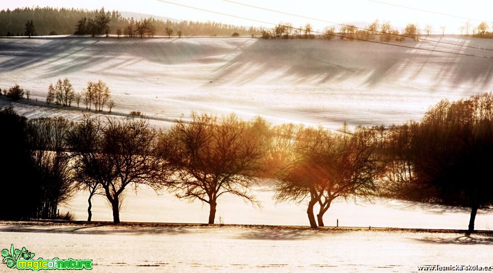 Na Vysočině - Foto Ladislav Jonák 0319