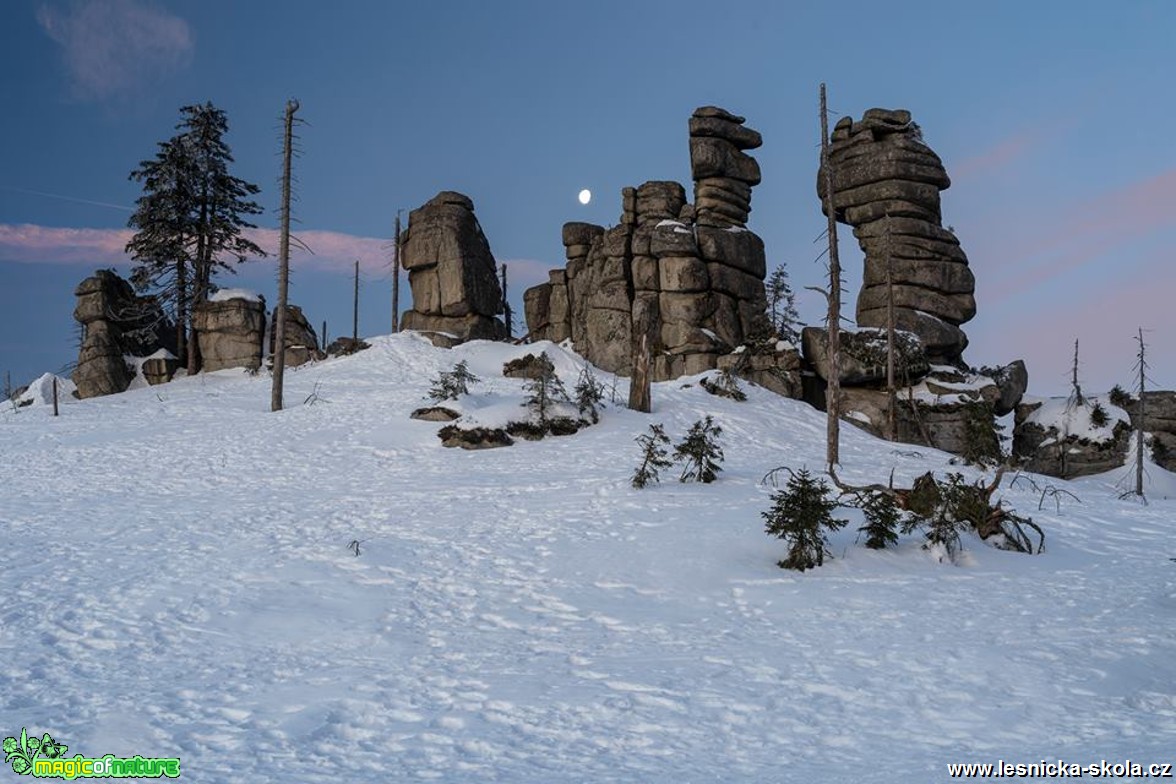 Noc ustupuje - Šumava - Foto Petr Germanič 0319