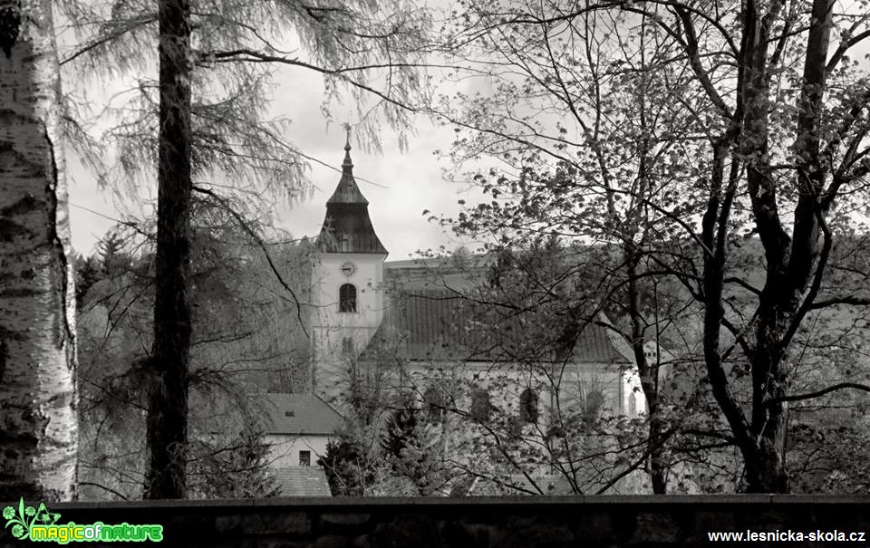 Luka nad Jihlavou - Foto Ladislav Jonák 0519