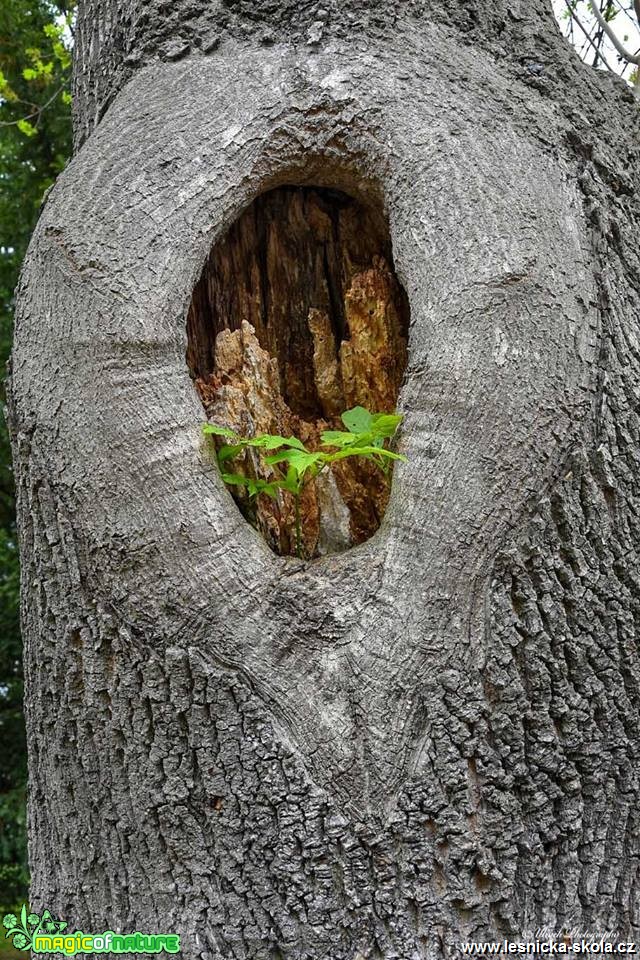 Nový život - Foto Pavel Ulrych 0519