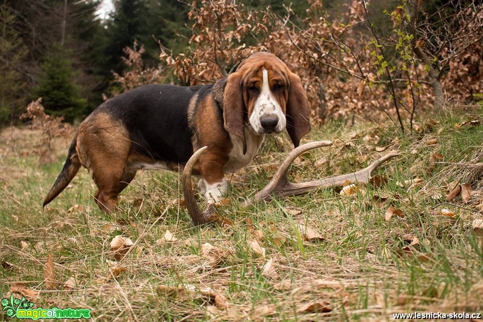 Našli jsme shoz - Foto Lukáš Málek 0519