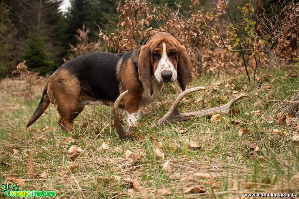 Našli jsme shoz - Foto Lukáš Málek 0519