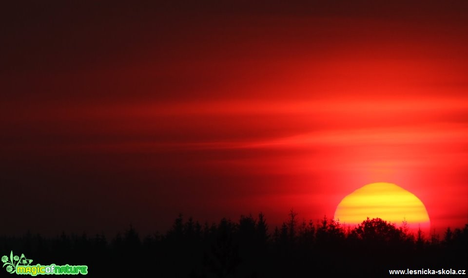 Květnový východ - Vysočina - Foto Ladislav Jonák 0519