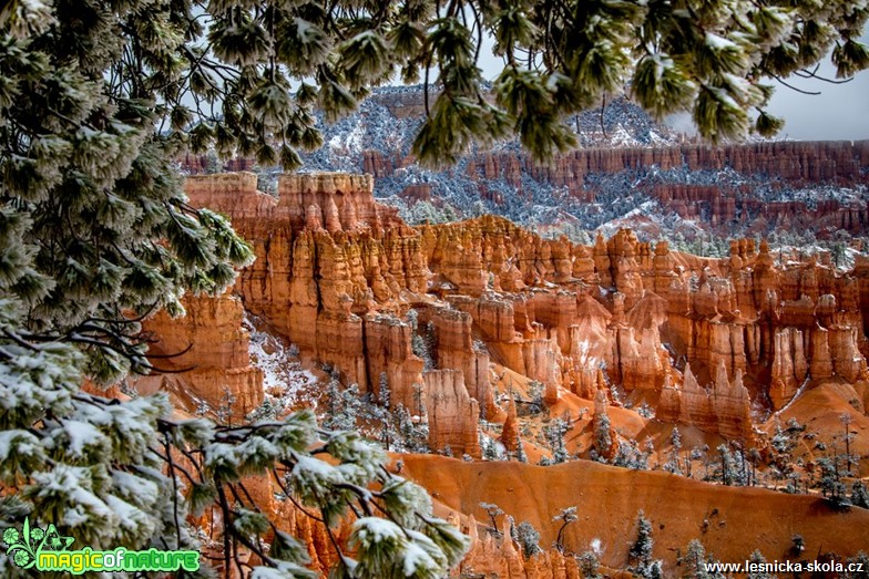 Bryce Canyon - Foto Ladislav Hanousek 0619