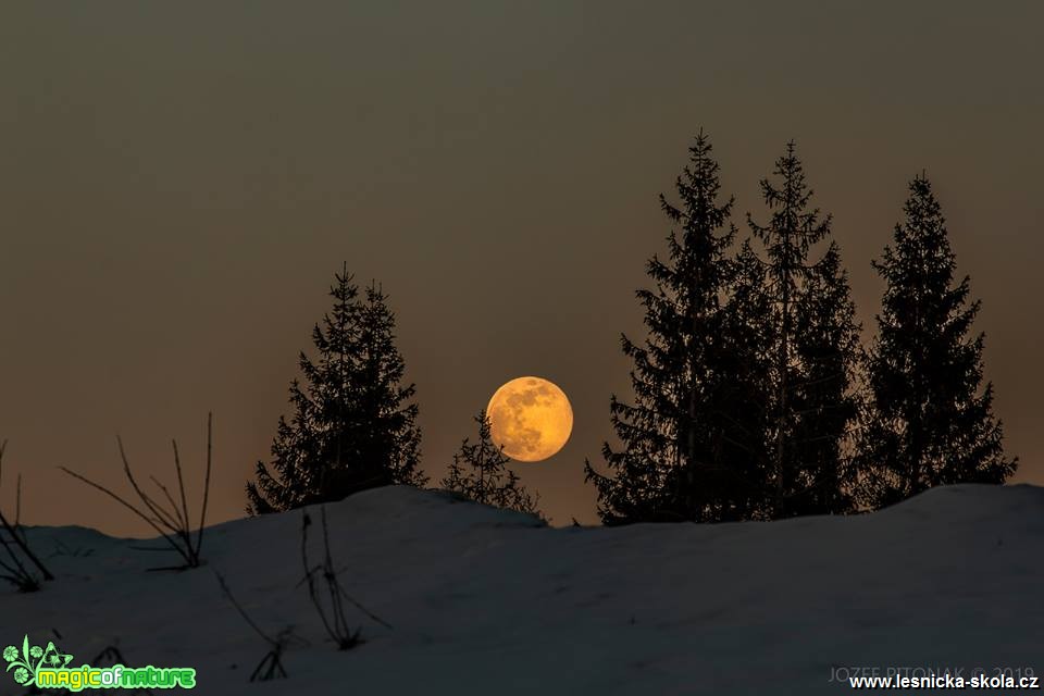 Měsíční hrátky - Foto Jozef Pitoňák 0319 (1)