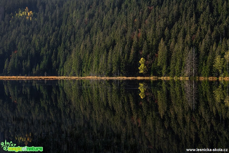 Jezero Kleiner Arbersee (Malé Javorské jezero) - Foto Petr Germanič 0119