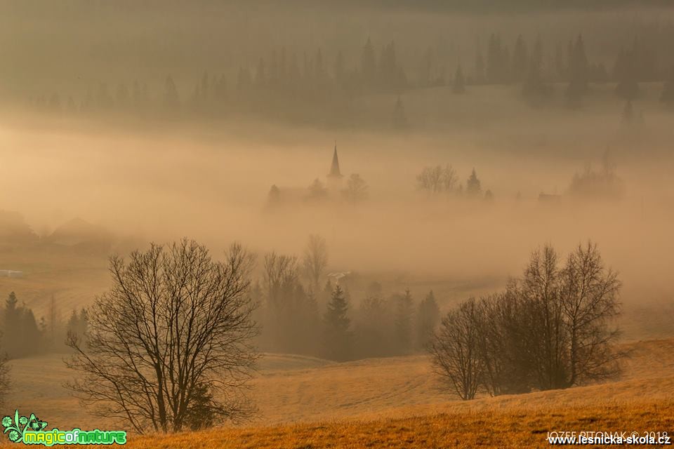 Obrázky života slovenských hor - Foto Jozef Pitoňák 1118 (1)