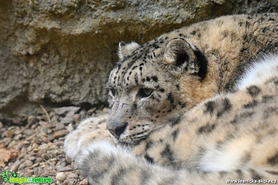 ZOO Jihlava - Foto Marie Vykydalová 0819 (4)