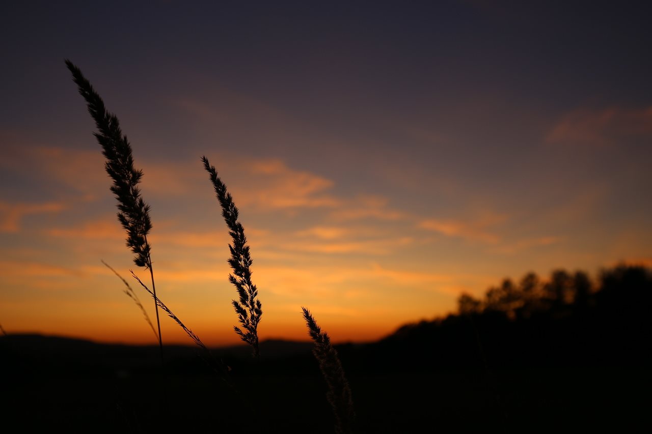 Když slunce maluje - Foto Irena Wenischová 1019 (3)