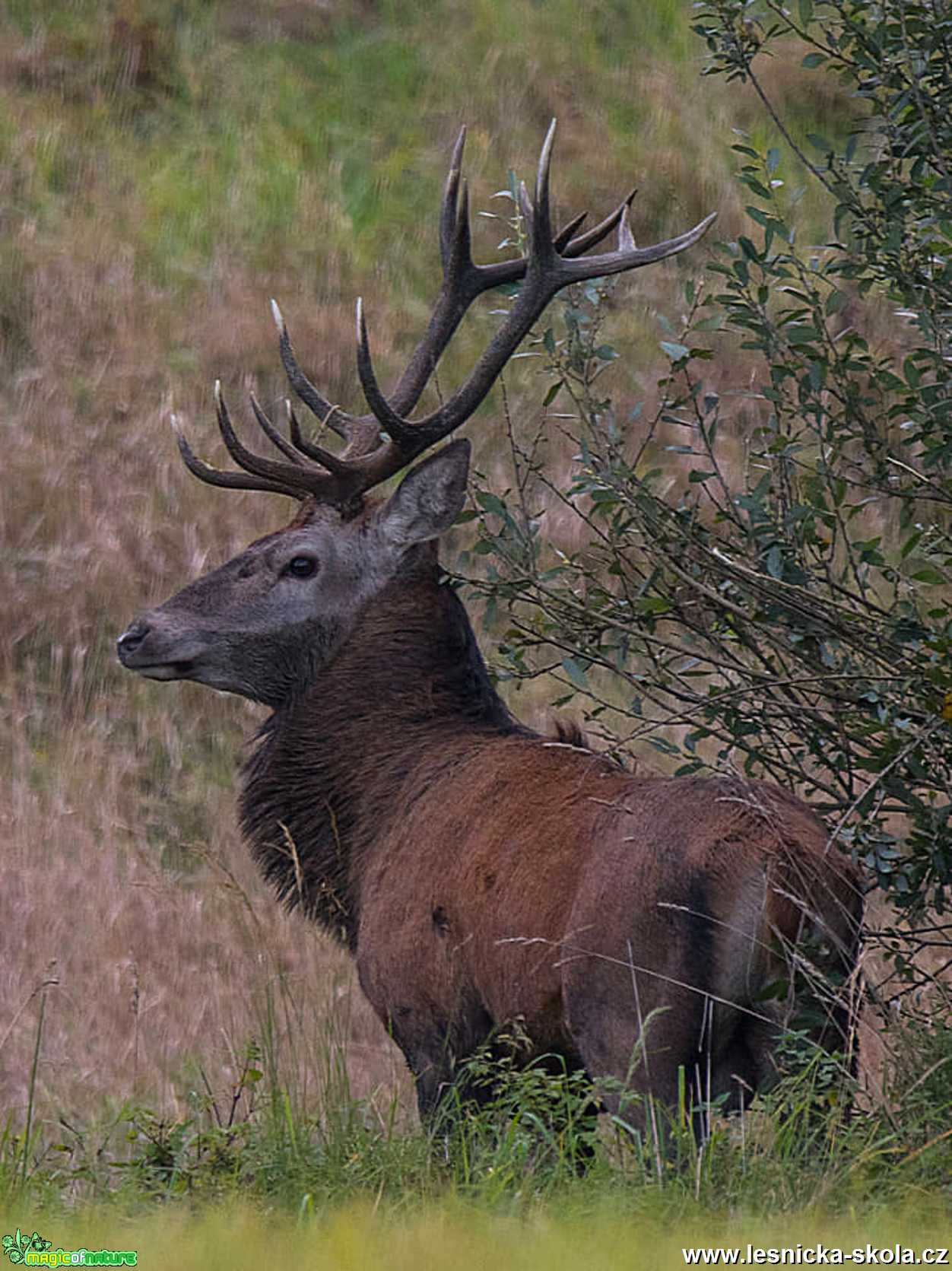 Setkání s vysokou - Foto Zbyněk Tomek 1119 (1)