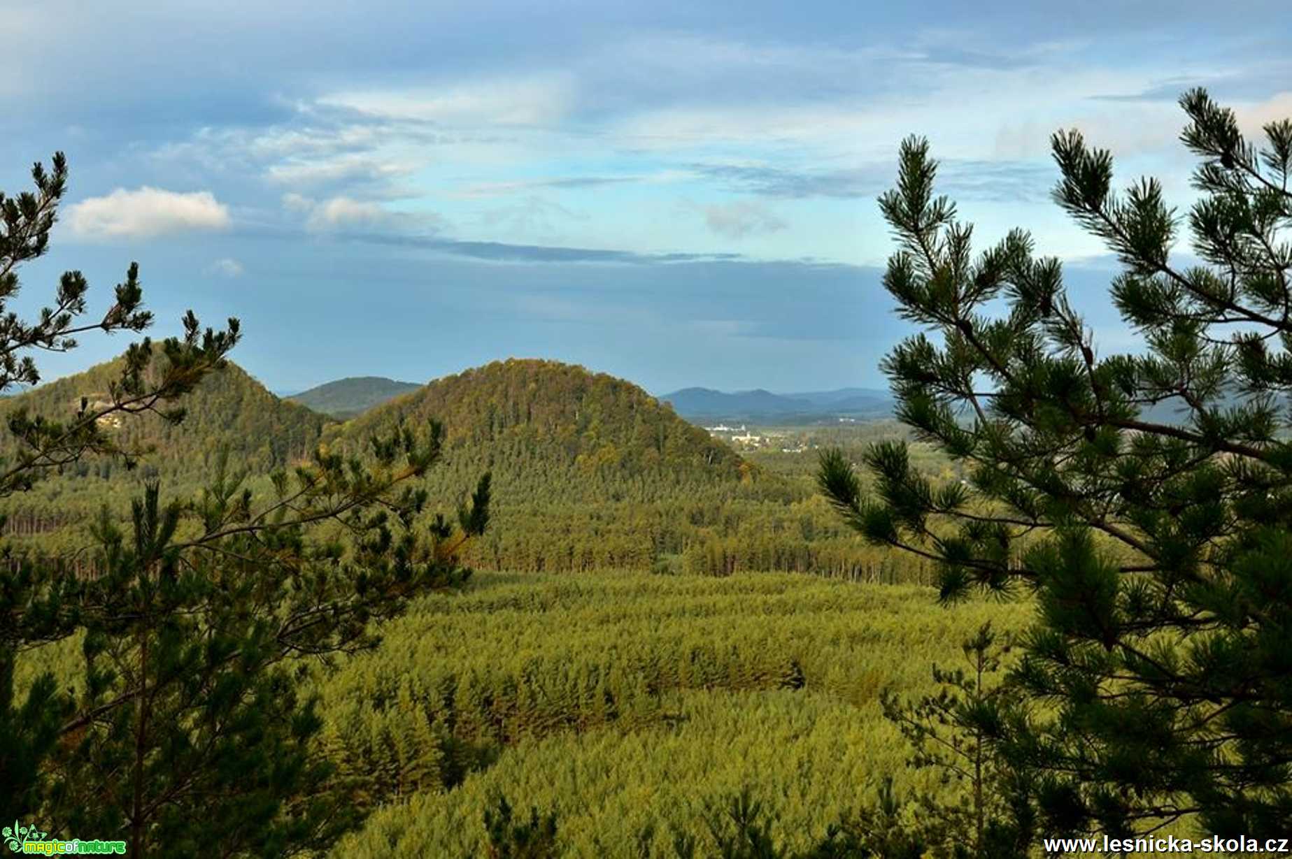 Osečná - Foto Jaroslava Jechová 1219