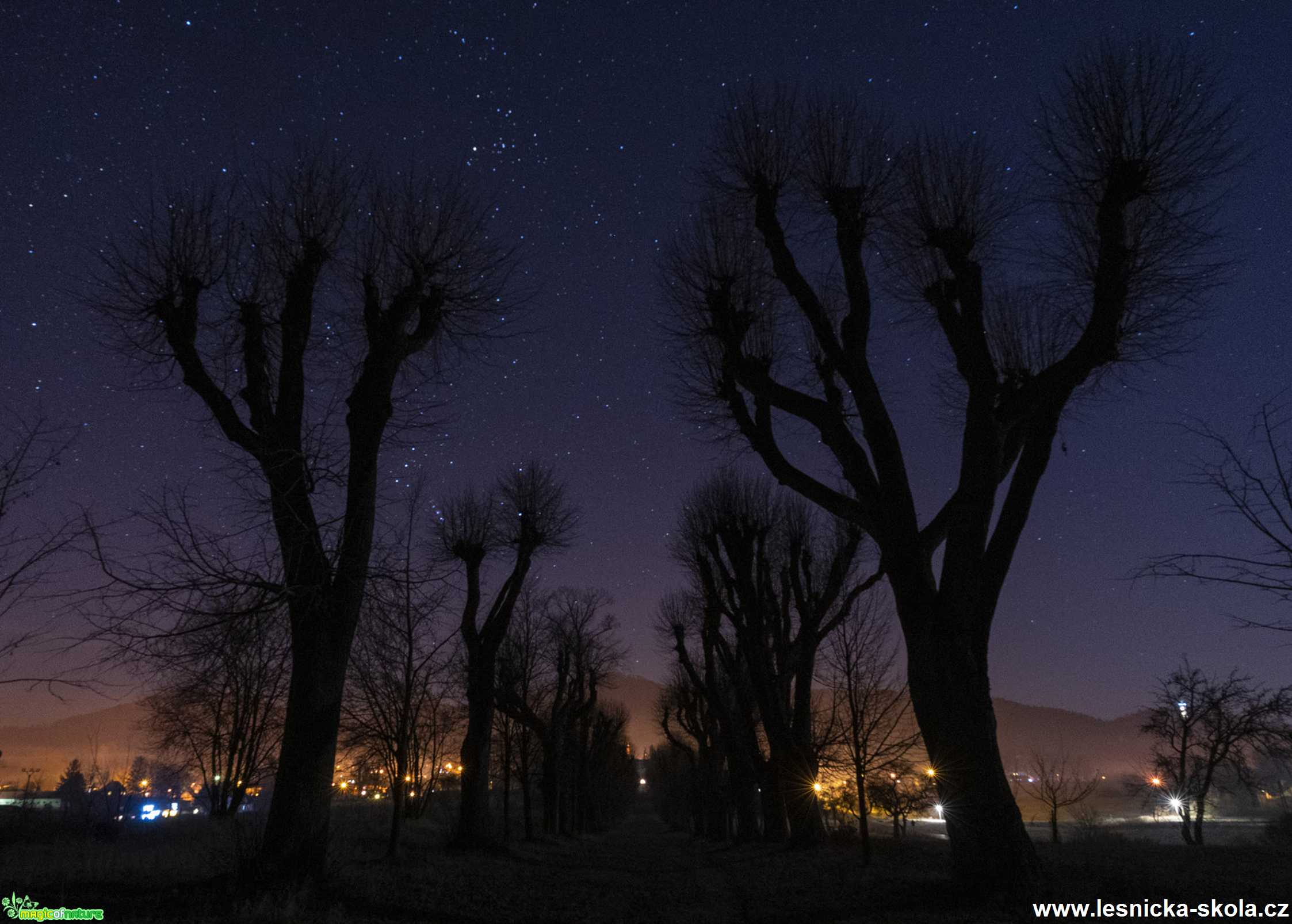 Noční alej u kapličky - Foto Petr Germanič 0120