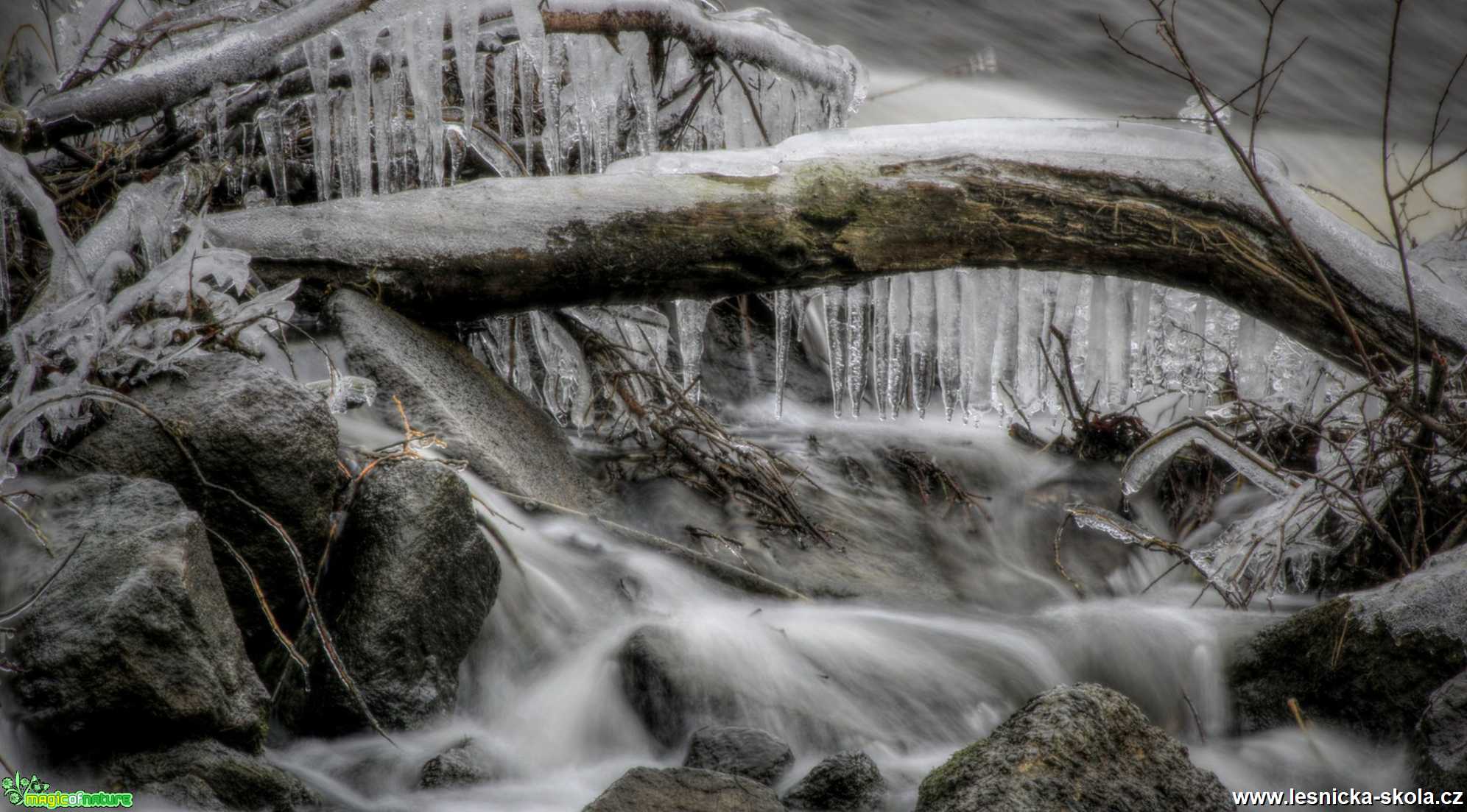 U splavu - Foto Ladislav Jonák 0220