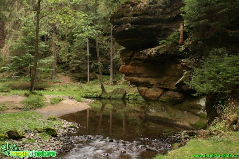 Skála nad Chřibskou Kamenicí - Foto Gerd Ritschel