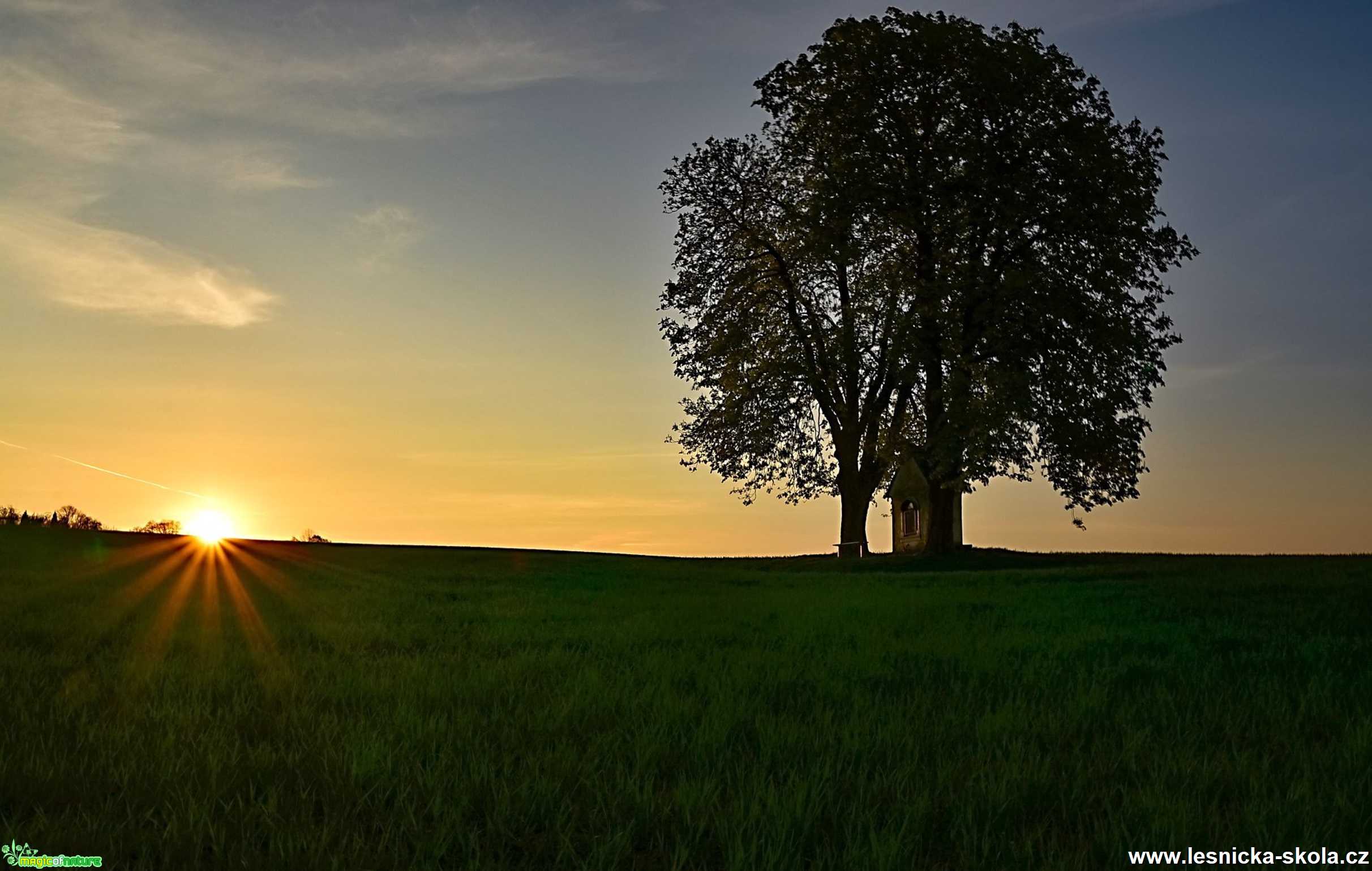 U kapličky na Rádle - Foto Jaroslava Jechová 0620 (1)