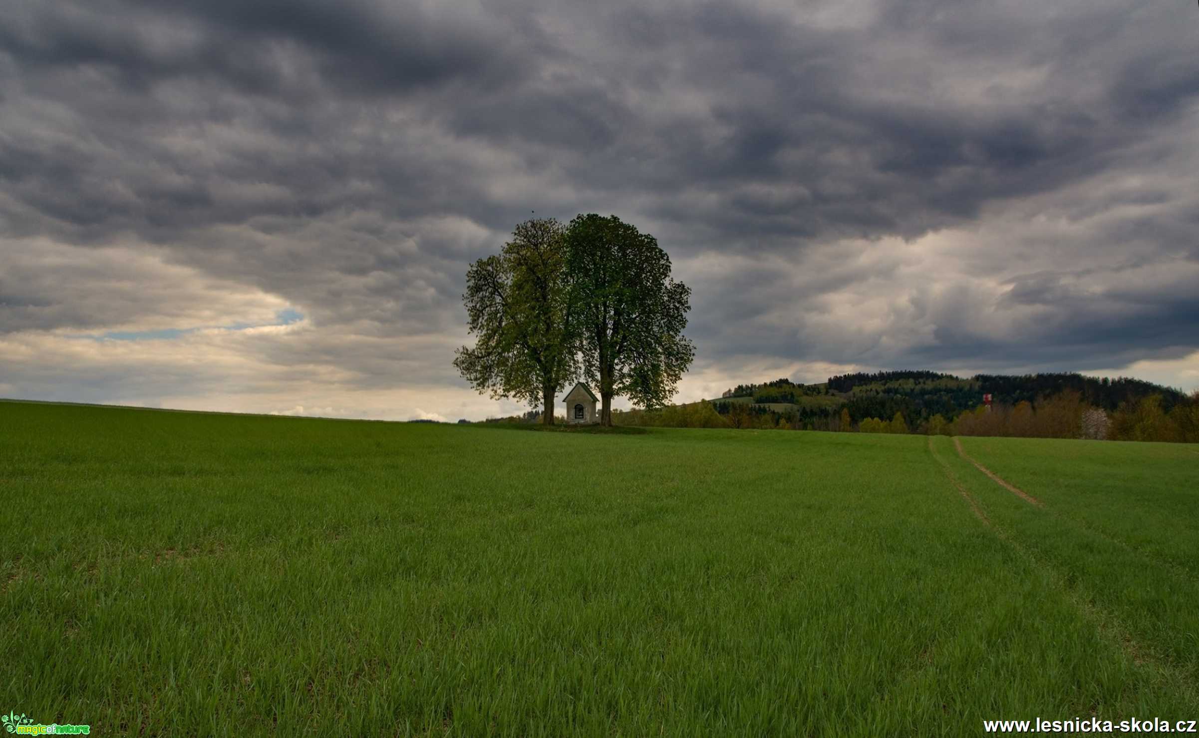 U kapličky na Rádle - Foto Jaroslava Jechová 0620